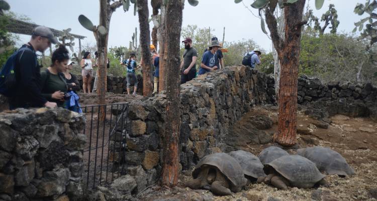 5-Day Guided Galapagos & Cabo Rosa - Los Tuneles Tour - Nature Galapagos & Ecuador 2