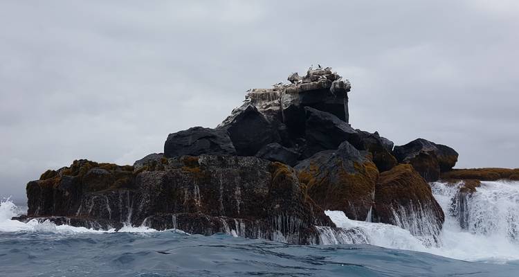 5-Day Guided Galapagos & Cabo Rosa - Los Tuneles Tour - Nature Galapagos & Ecuador 3