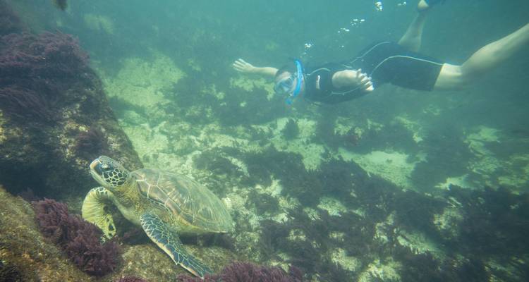 5-Day Guided Galapagos & Cabo Rosa - Los Tuneles Tour - Nature Galapagos & Ecuador 6