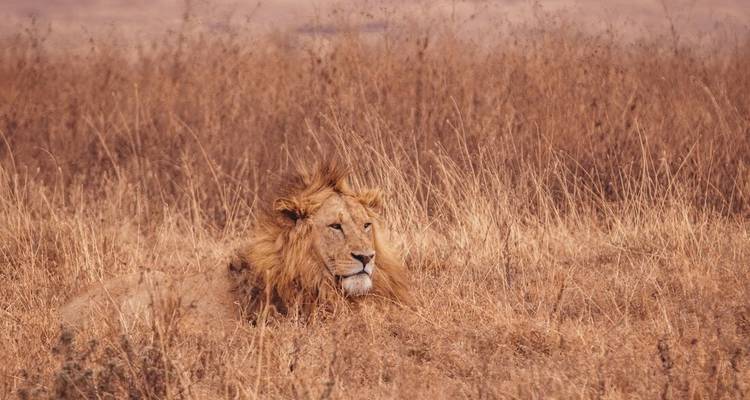 Best of East Africa - Intrepid Travel 4