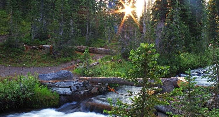 Bechler River Traverse - Wildland Trekking 3
