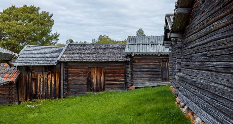 Traditionelle Holznebengebäude mit Grassodendächern vor grünem Gras und bewölktem Himmel.