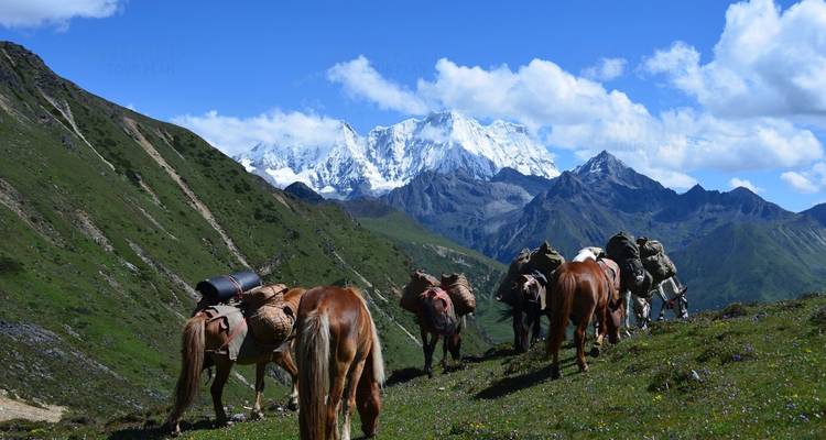Laya Gasa excursionismo - conoce a los seminómadas - World Tour Plan 3