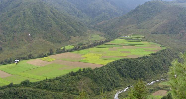 Window to Bhutan - World Tour Plan 3