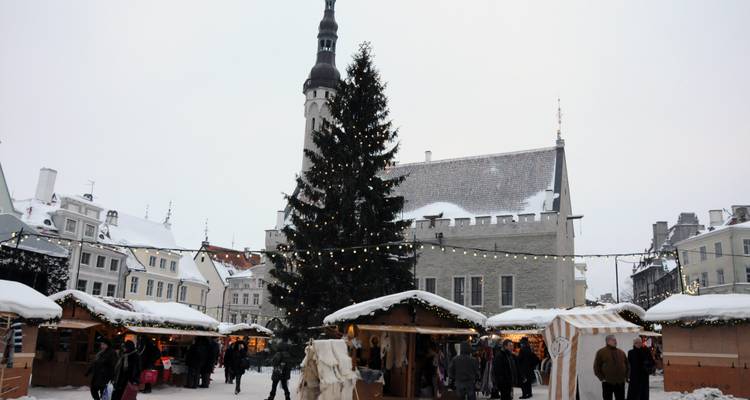 Marché de Noël de Tallinn avec un grand arbre décoré et des lumières.