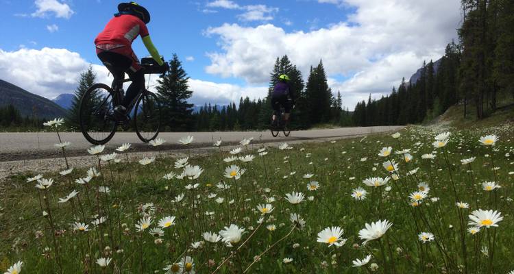 Excursión en bici Glaciar-Waterton-Banff - Bicycle Adventures 6