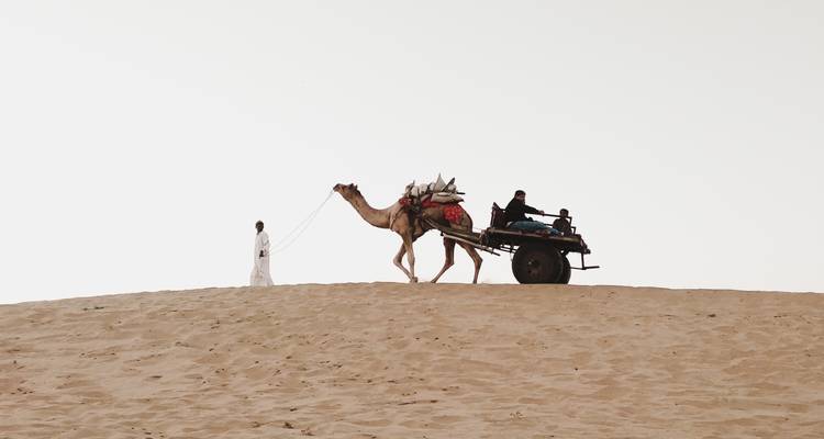Les couleurs les plus vives du Rajasthan royal, voiture privée à courant alternatif - Payless tours india 4