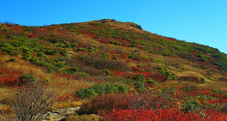 Zone sauvage de Shining Rock - Wildland Trekking 2