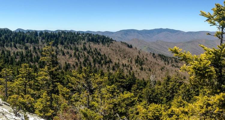 Zone sauvage de Shining Rock - Wildland Trekking 7
