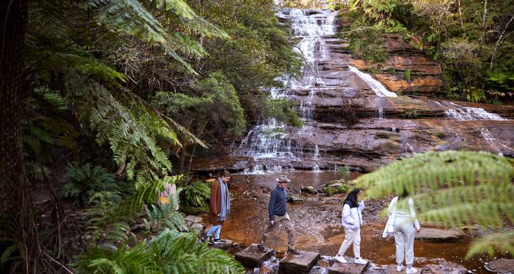 Blue Mountains Sunset Tour 1 DAY - Wildlife Tours Australia 2