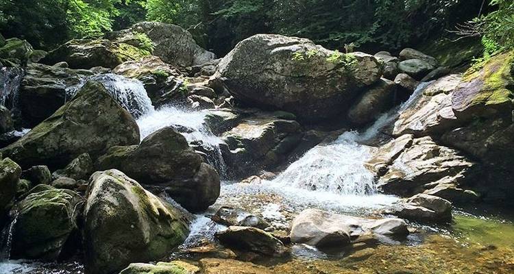 Portered Shining Rock - Wildland Trekking 2