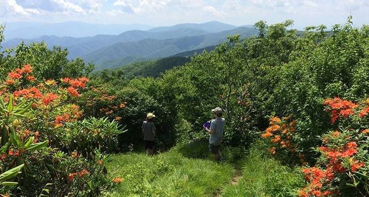 Portered Shining Rock - Wildland Trekking 4