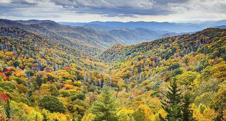 Trek dans les Smoky Mountains - 3 jours - Wildland Trekking 9