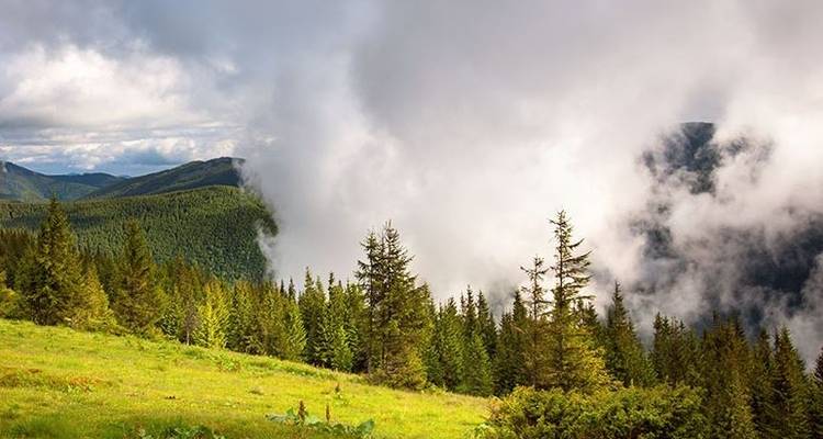 Trek dans les Smoky Mountains - 3 jours - Wildland Trekking 7