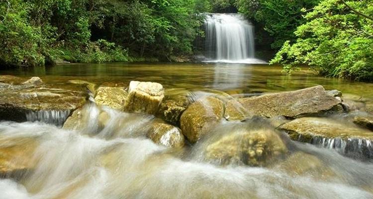 Trek dans les Smoky Mountains - 3 jours - Wildland Trekking 4