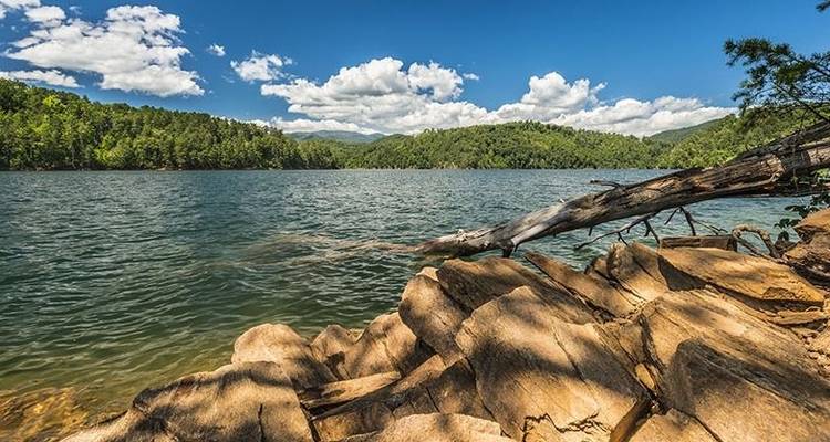 Trek dans les Smoky Mountains - 3 jours - Wildland Trekking 8