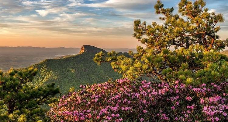 Asheville Inn Based Hiking Tour - Wildland Trekking 8