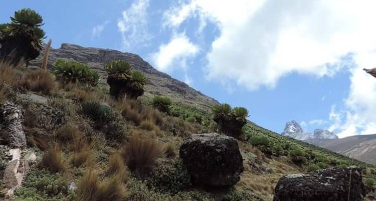 4D/3N Mount Kenya: Up and Down Sirimon Route - Pita Safaris 4