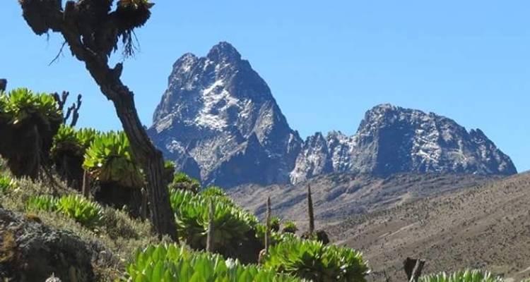 4D/3N Mount Kenya: Up and Down Sirimon Route - Pita Safaris 2