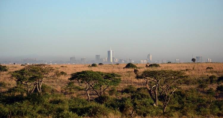 4D/3N Mount Kenya: Up and Down Sirimon Route - Pita Safaris 1