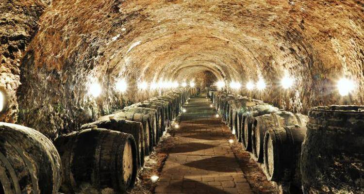 Wine tasting & Spa (small group minimum 2 people & maximum 8 people) - Experience Slovakia 9