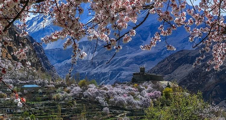 Circuito al Cerezo en Flor de Hunza, Gilgit - Baltistán, Pakistán - Crossroads Adventure  8