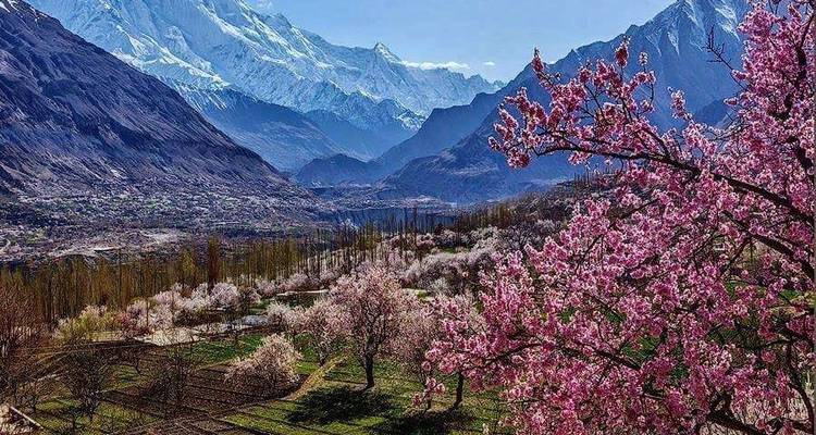 Circuito al Cerezo en Flor de Hunza, Gilgit - Baltistán, Pakistán - Crossroads Adventure  1