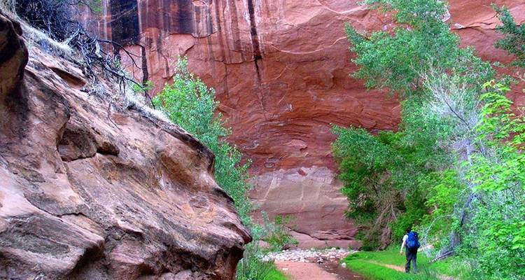 Aventure Coyote Gulch - Wildland Trekking 2