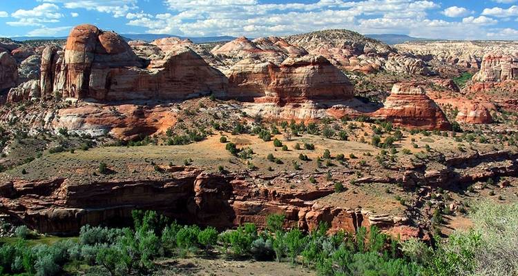 Aventure Coyote Gulch - Wildland Trekking 1