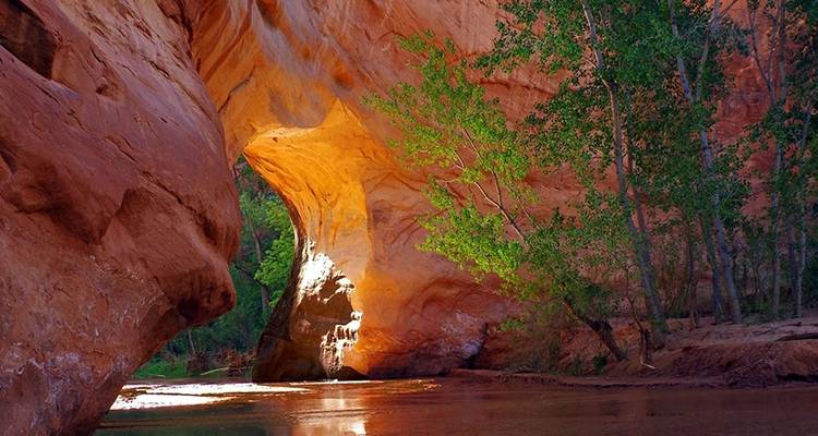 Aventure Coyote Gulch - Wildland Trekking 6