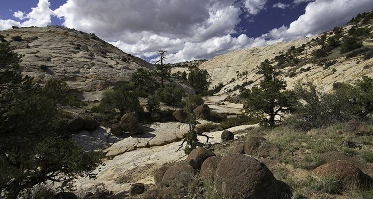 Death Hollow et la traversée de la rivière Escalante - Wildland Trekking 3