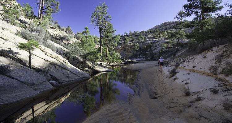Death Hollow et la traversée de la rivière Escalante - Wildland Trekking 8