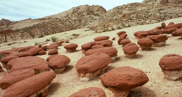 Mochilero en Capitol Reef - Wildland Trekking 6