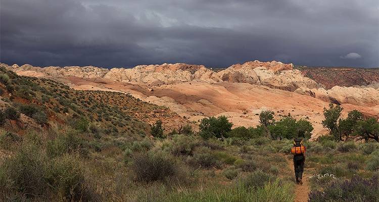 Mochilero en Capitol Reef - Wildland Trekking 8