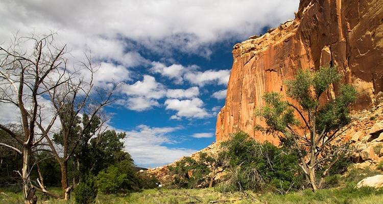 Mochilero en Capitol Reef - Wildland Trekking 4