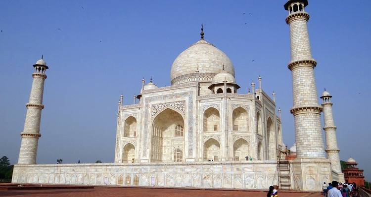 El famoso viaje de 5 días por el triángulo de oro de la India - Edshil Tours  7