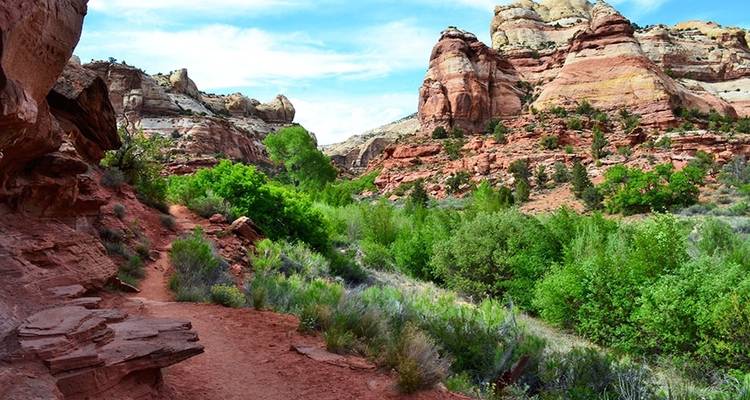 Bryce Escalante Base Camp Tour - Wildland Trekking 2
