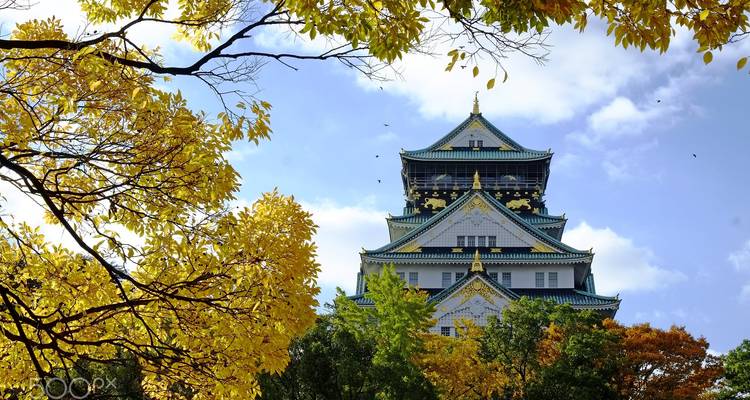 Un Japon époustouflant avec Shirakawa-go (chambres d'hôtel privées 3 étoiles) - Stunning Tours 4