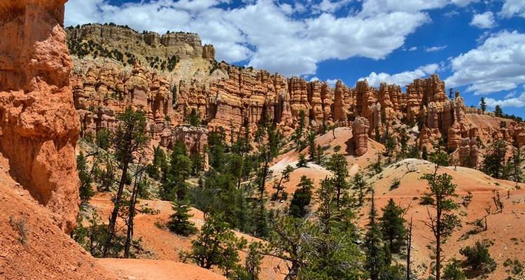 Circuito a Zion y Bryce en albergue - Wildland Trekking 7