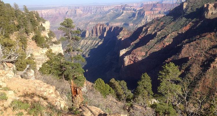 Zion, Bryce, Grand Canyon Tour - Wildland Trekking 4