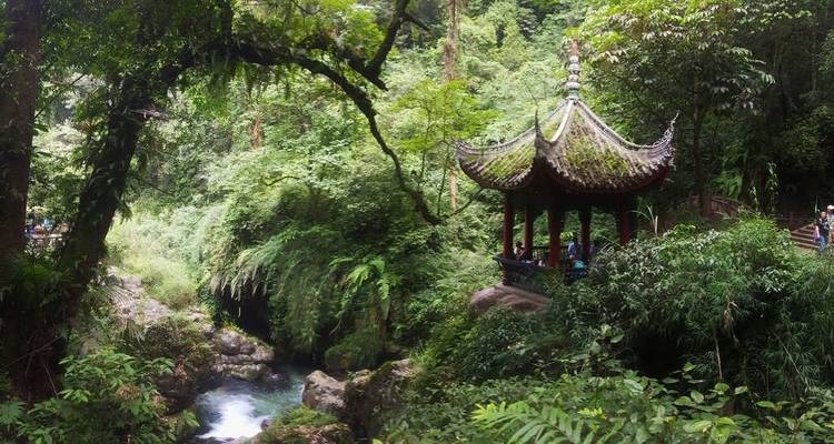 Pagoda nestled in lush green forest with stream.