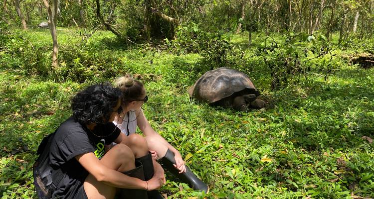 Deux voyageurs assis à l'ombre observant une tortue géante dans une forêt verdoyante