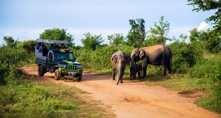 Experiencia en Sri Lanka - INTRO Travel 10