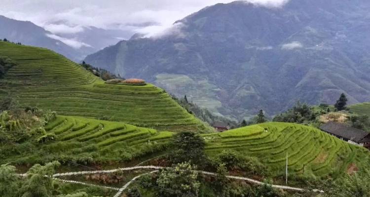 Explora Longji y Guilin en tren bala desde Guangzhou 7D - Silk Road Trips 7