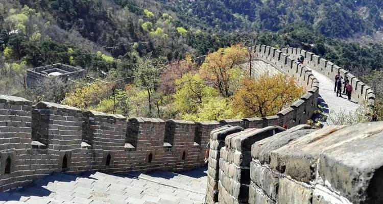 Chine express en 7 jours : Pékin, Xian et Shanghai - Silk Road Trips 7