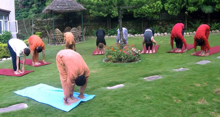Eine Gruppe von Menschen übt Yoga auf einer von Bäumen umgebenen Wiese.