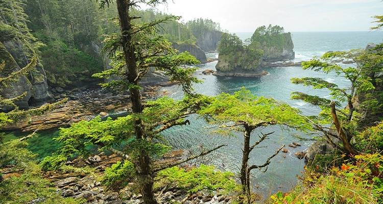 Circuit "Best of Olympic and Rainier" - en anglais - Wildland Trekking 6