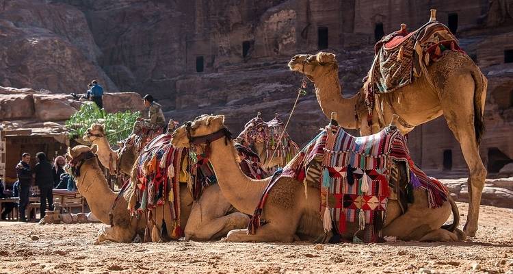 Le meilleur de la Jordanie en 4 jours - Jordan Private Tours and Travel 3