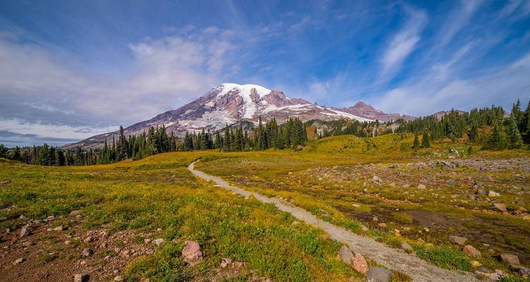 Mount Rainier Inn Based Tour - Wildland Trekking 1