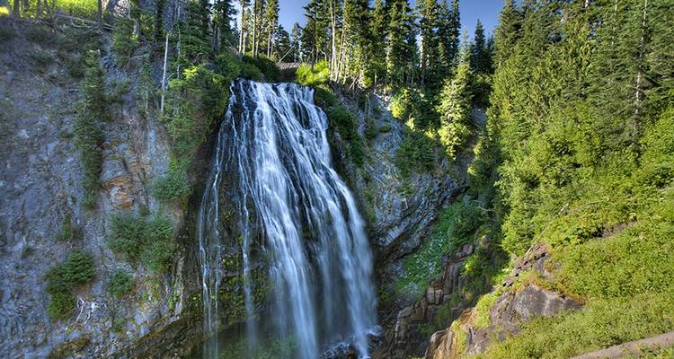 Mount Rainier Inn Based Tour - Wildland Trekking 3